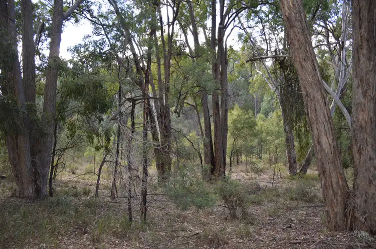 Second view of Homely rural property listing, 1121 Botobolar Road, Mudgee NSW 2850