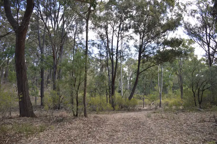 Third view of Homely rural property listing, 1121 Botobolar Road, Mudgee NSW 2850