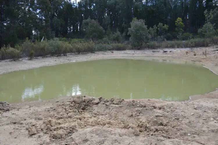 Sixth view of Homely rural property listing, 1121 Botobolar Road, Mudgee NSW 2850