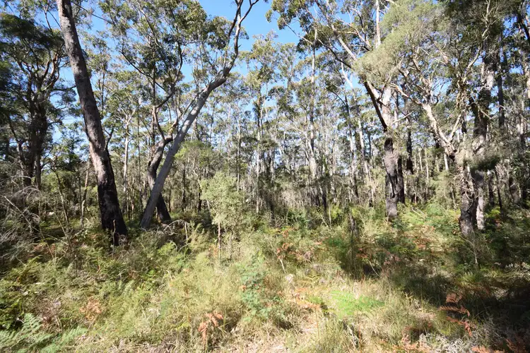 Seventh view of Homely land listing, 69D Streamside Street, Woollamia NSW 2540