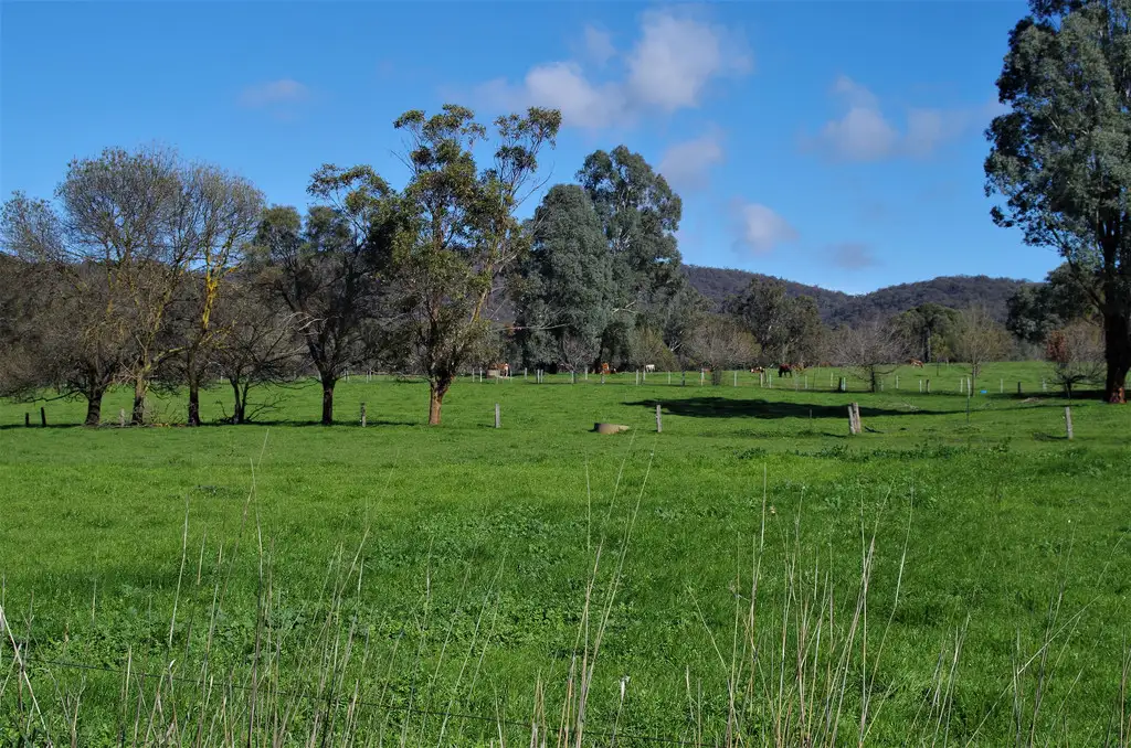 Main view of Homely rural property listing, 888 Tatong Tolmie Rd, Tatong VIC 3673