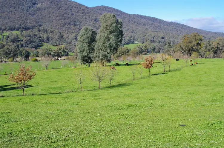 Second view of Homely rural property listing, 888 Tatong Tolmie Rd, Tatong VIC 3673