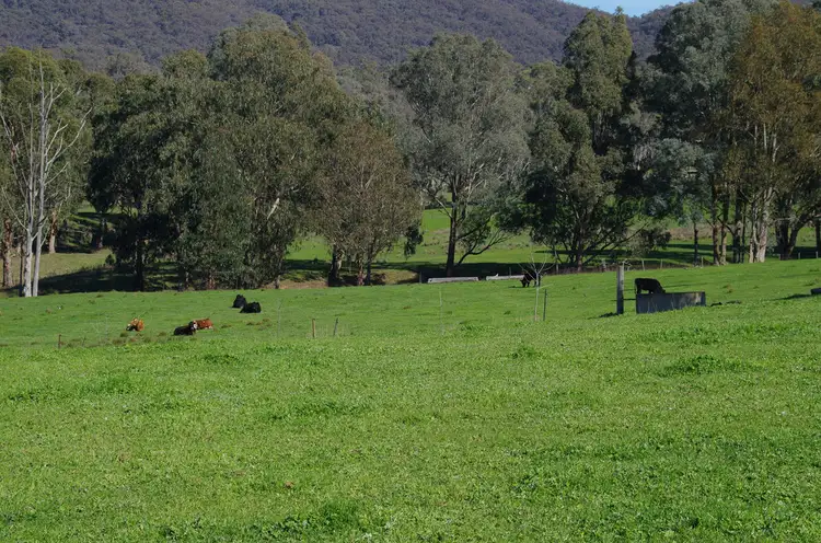 Third view of Homely rural property listing, 888 Tatong Tolmie Rd, Tatong VIC 3673