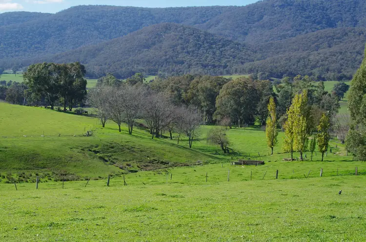 Fourth view of Homely rural property listing, 888 Tatong Tolmie Rd, Tatong VIC 3673