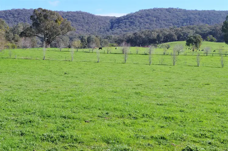 Seventh view of Homely rural property listing, 888 Tatong Tolmie Rd, Tatong VIC 3673