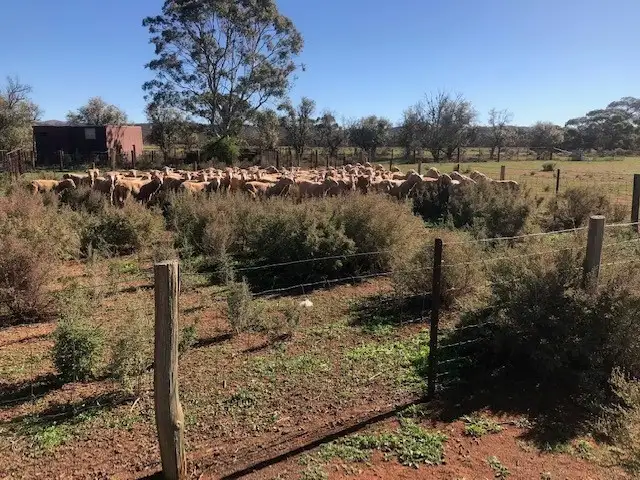 Seventh view of Homely rural property listing, - Markeys, Whyte Yarcowie SA 5420