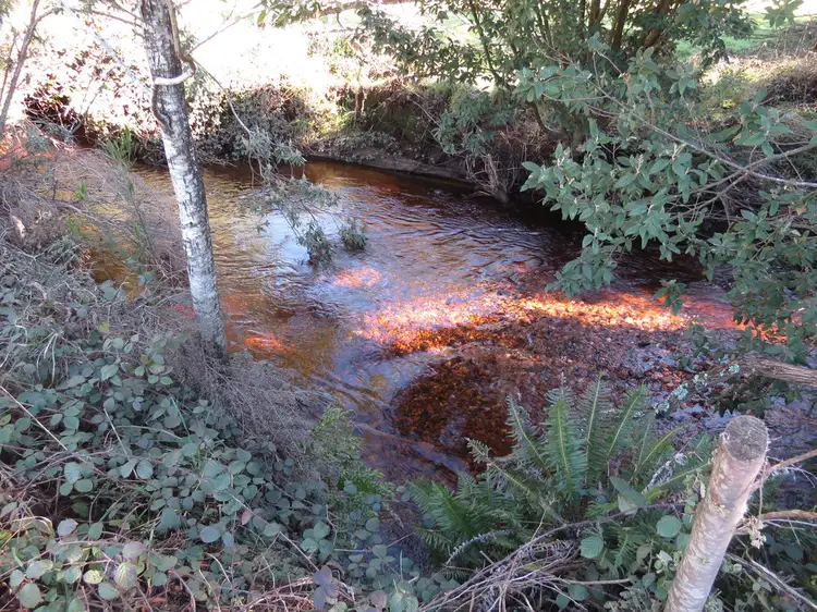 Sixth view of Homely rural property listing, Lot 1 Kookaburra Rock Road, Claude Road TAS 7306