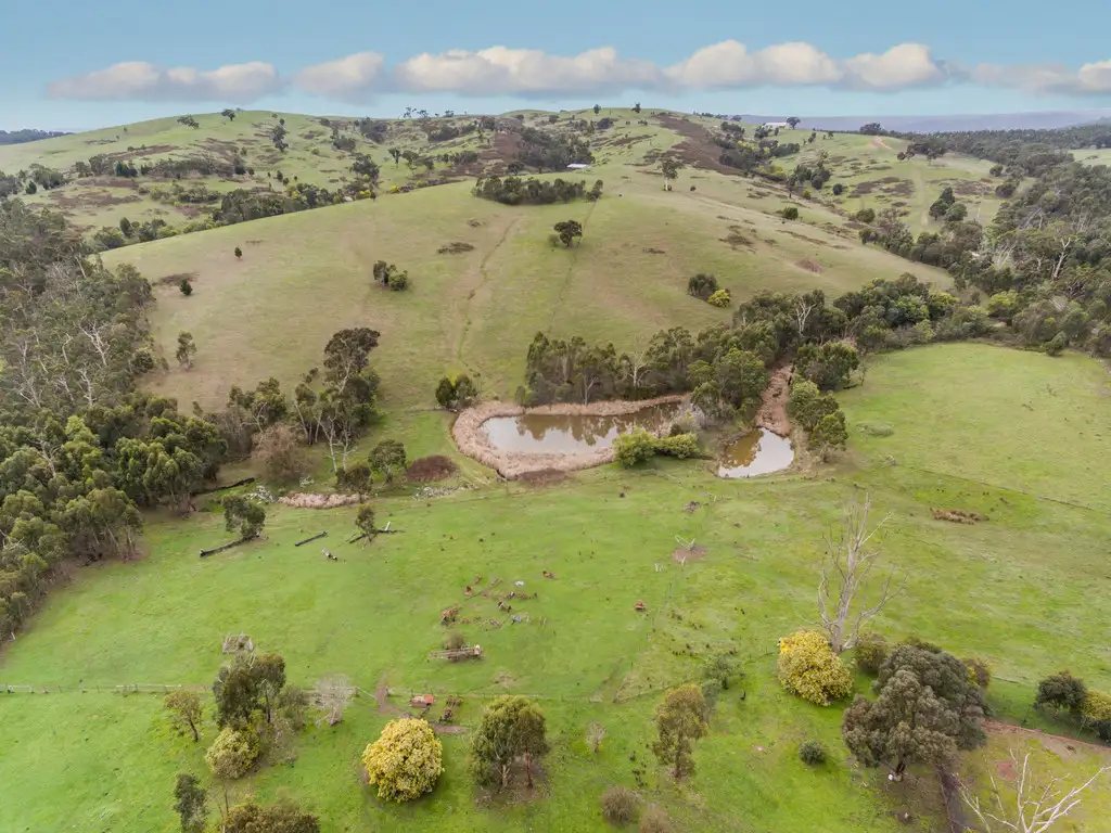 Main view of Homely rural property listing, 15 Stotts Road, Wandong VIC 3758