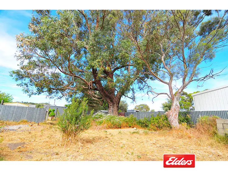 Fifth view of Homely house listing, 10 Cameron Street, Kingston Se SA 5275