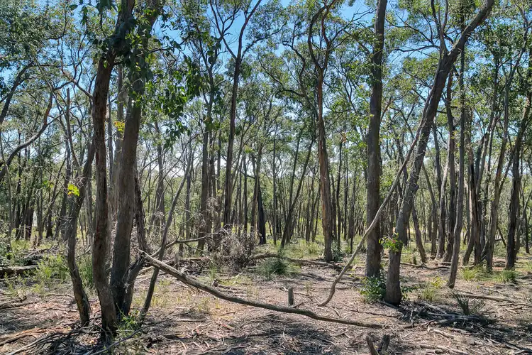 Fourth view of Homely land listing, 15 McCallum Road, Scarsdale VIC 3351