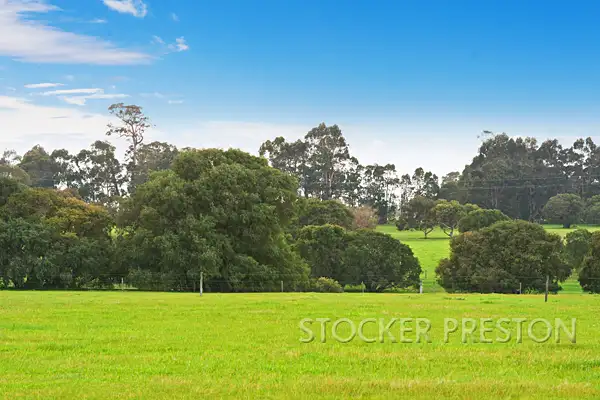 Main view of Homely rural property listing, P/L 101 WEST RD, Cowaramup WA 6284