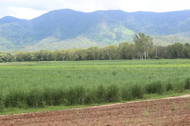 Fourth view of Homely rural property listing, 228 Seninis Road, Finch Hatton QLD 4756