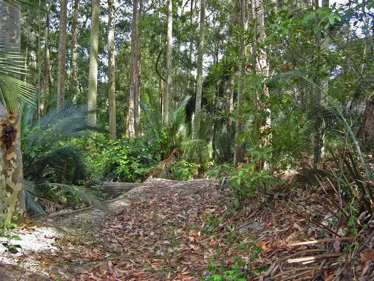 Fifth view of Homely land listing, 23 Murramarang Crescent, South Durras NSW 2536