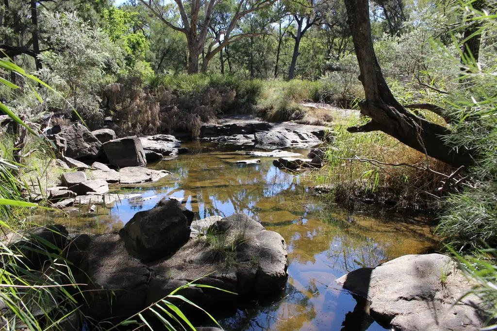 Main view of Homely rural property listing, 1844 Bruxner Way, Tenterfield NSW 2372