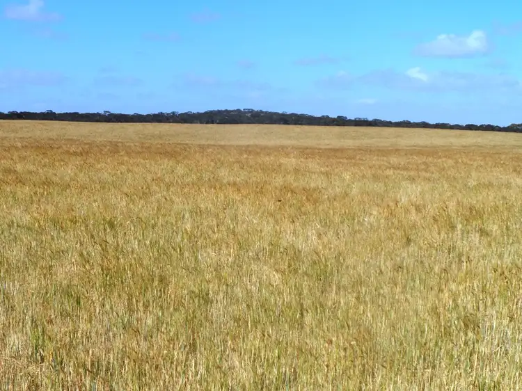 Second view of Homely land listing, Section 24 Conservation Road, Pinnaroo SA 5304