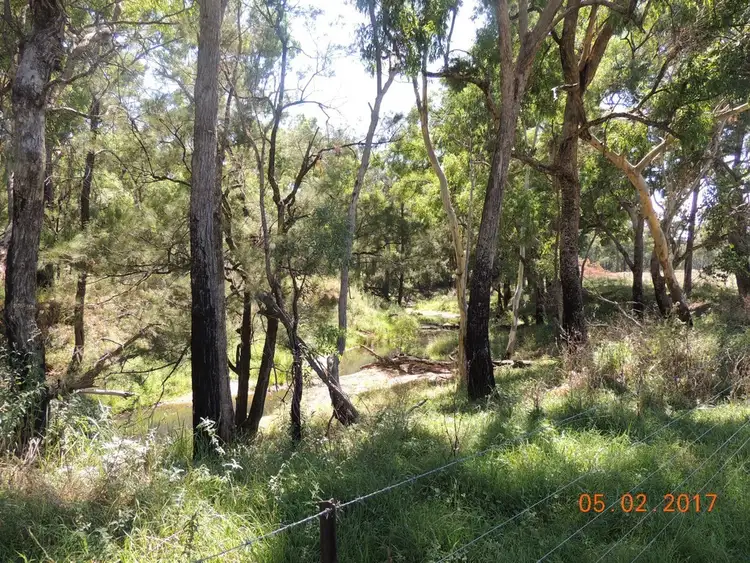 Sixth view of Homely rural property listing, 928 Timor Road, Coonabarabran NSW 2357
