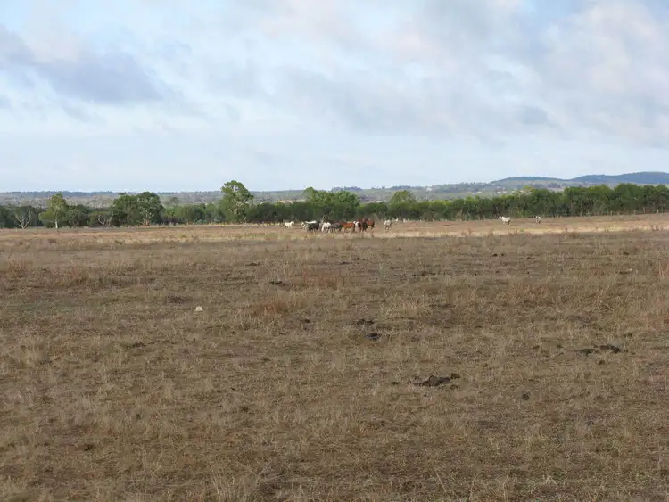 Fifth view of Homely rural property listing, Lot 50 Frankland Cranbrook Rd, Cranbrook WA 6321