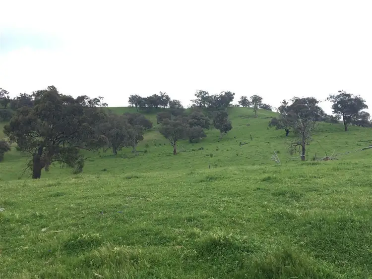 Fourth view of Homely rural property listing, 3938 Snowy Mountains Highway, Adelong NSW 2729