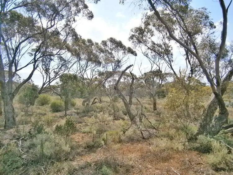 Fourth view of Homely rural property listing, 13 Sturt highway, Blanchetown SA 5357