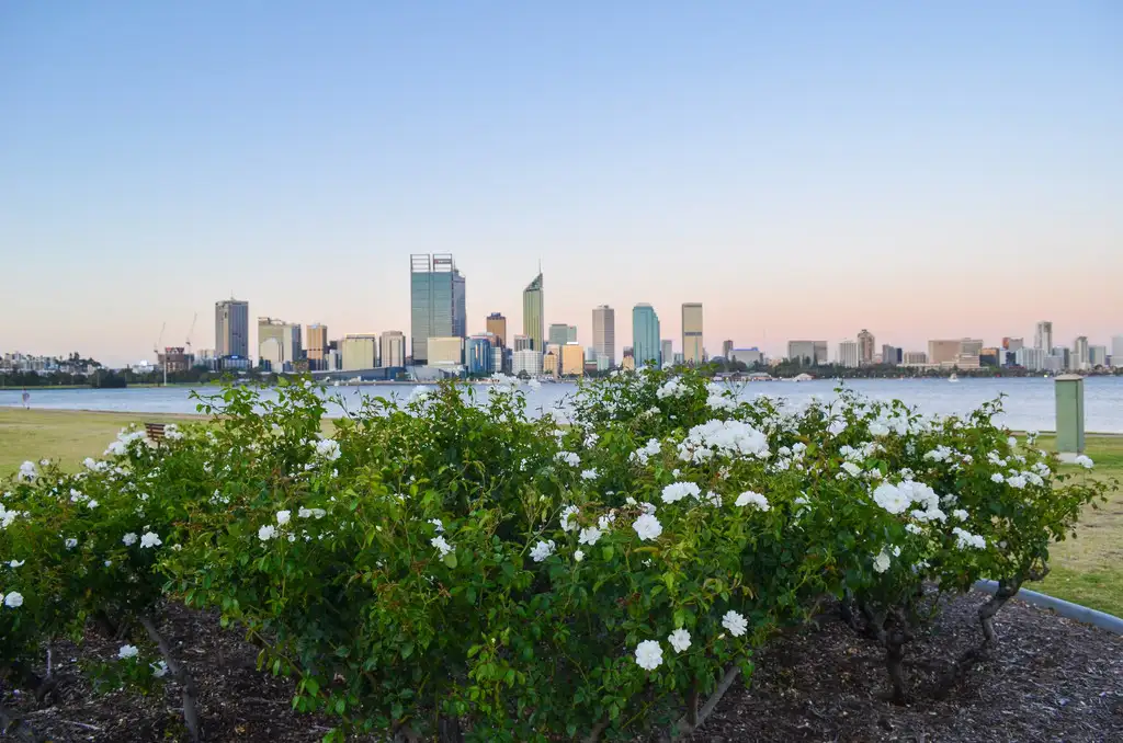 Main view of Homely house listing, 6 Manning Terrace, South Perth WA 6151