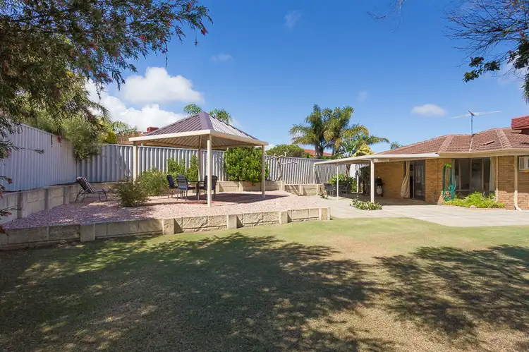 Main view of Homely house listing, 14 Carnation Place, Yangebup WA 6164