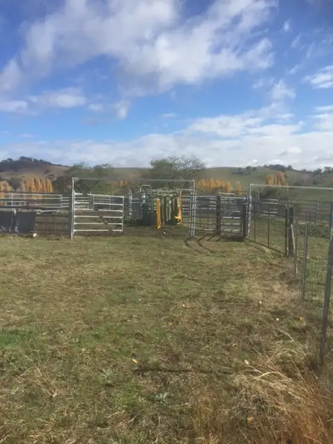 Second view of Homely rural property listing, 3836 Snowy Mountains Highway, Adelong NSW 2729