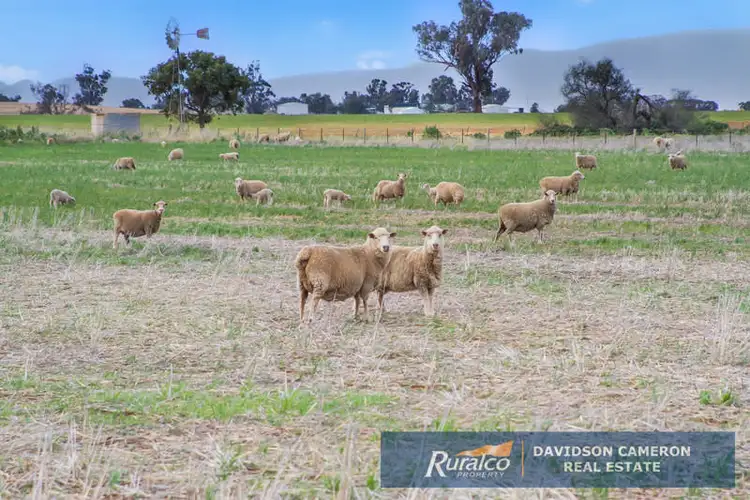 Third view of Homely rural property listing, Canberra 982 Warral Bithramere Road, Tamworth NSW 2340