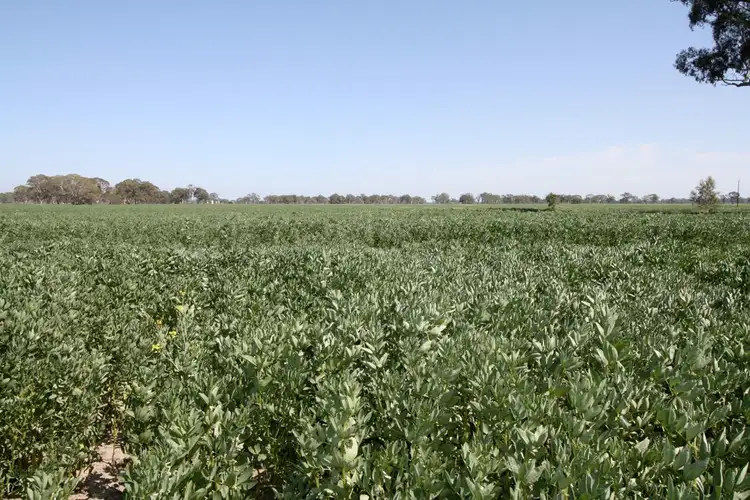 Second view of Homely rural property listing, Lot 56* Pondham Road, Hynam SA 5262