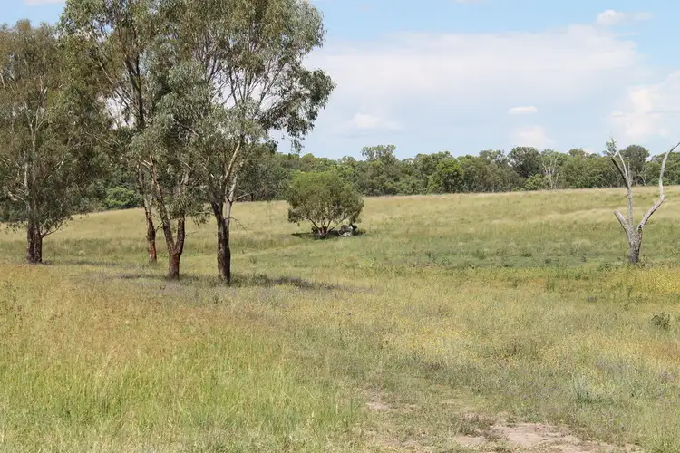 Sixth view of Homely rural property listing, 183 Twin Creek Road, Warialda NSW 2402