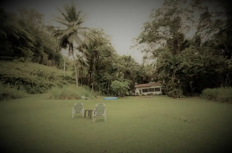 Seventh view of Homely house listing, 1291 Mossman-Daintree Road, Rocky Point QLD 4873