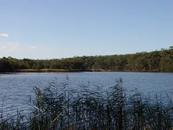 Second view of Homely house listing, 14 Oak Avenue, Lake Tabourie NSW 2539