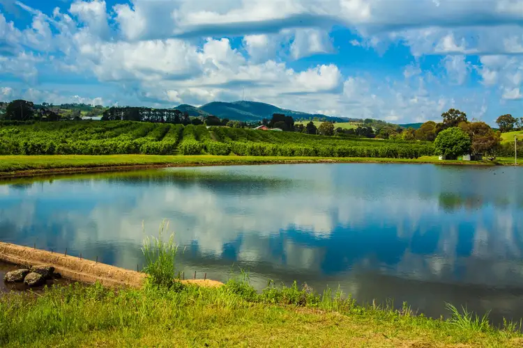 Main view of Homely rural property listing, 868 Cargo Road, Orange NSW 2800