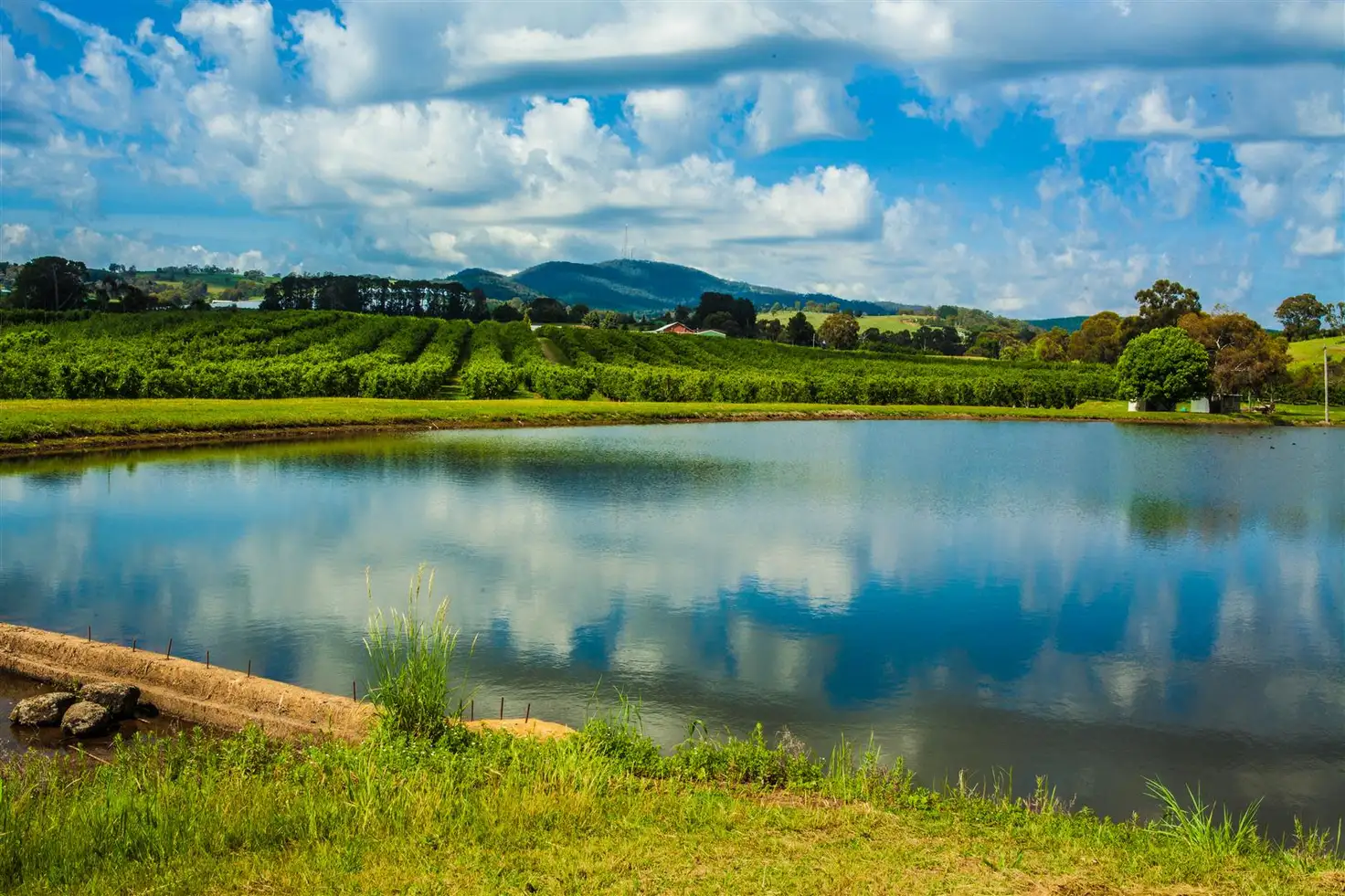 Main view of Homely rural property listing, 868 Cargo Road, Orange NSW 2800