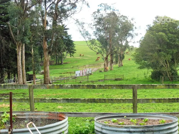 Second view of Homely rural property listing, 640 Boolarra South - Mirboo North Road, Mirboo North VIC 3871