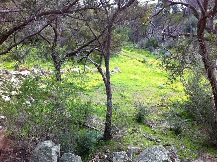 Sixth view of Homely land listing, Lot 7 Stanley James Boulevard, Uleybury SA 5114