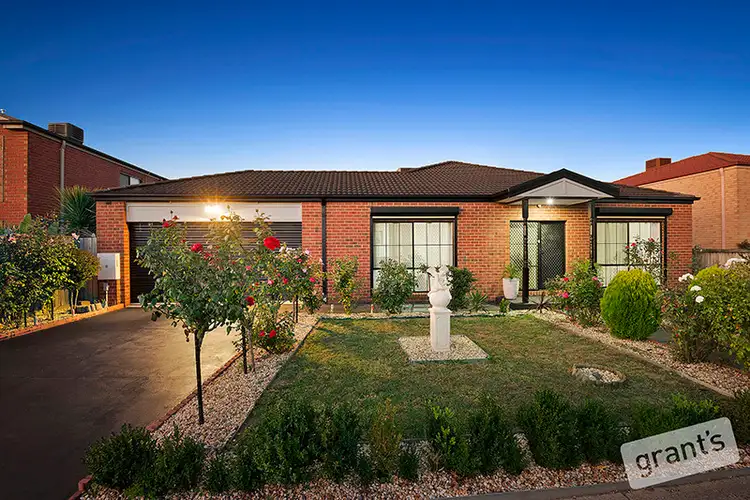 16 Napier Way, Narre Warren South VIC 3805