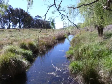 Second view of Homely rural property listing, 11 Walla lane, Rye Park, Boorowa NSW 2586