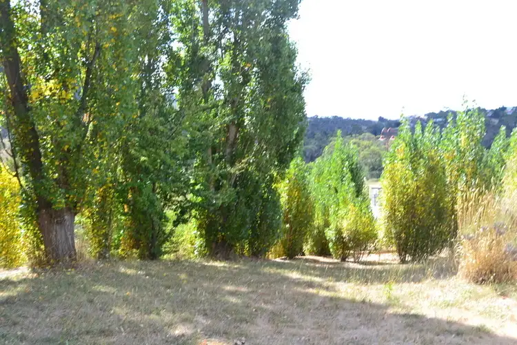 Third view of Homely house listing, 203 Day Avenue, Omeo VIC 3898