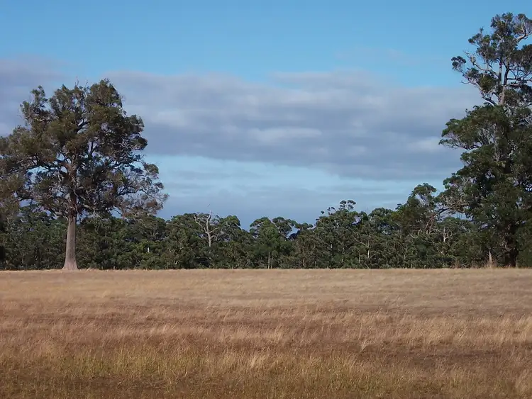 Seventh view of Homely rural property listing, Lot 9777 Appadene Road, Manjimup WA 6258