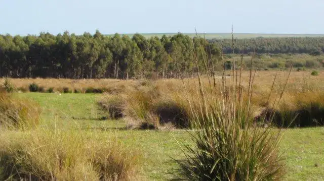 Third view of Homely rural property listing, Address available on request