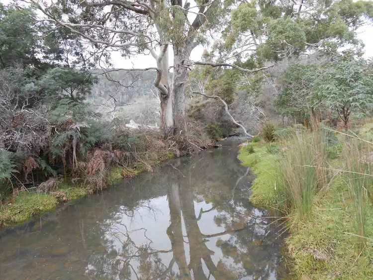 241 Williams Road, Royal George TAS 7213