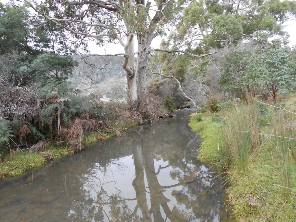 Main view of Homely rural property listing, 241 Williams Road, Royal George TAS 7213