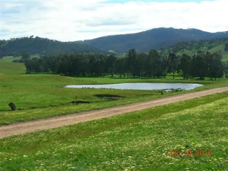 Seventh view of Homely rural property listing, - N/ A Wilkinsons Road Tarcutta via, Wagga Wagga NSW 2650