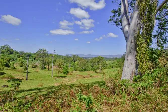 Fourth view of Homely rural property listing, 1184 Williams Road, Lillian Rock Via, Lillian Rock NSW 2480