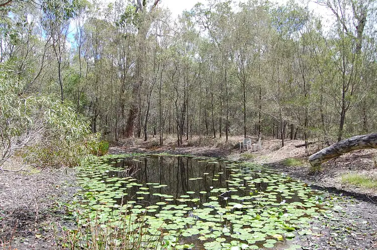 Second view of Homely rural property listing, 6287 Summerland Way, Camira NSW 2469