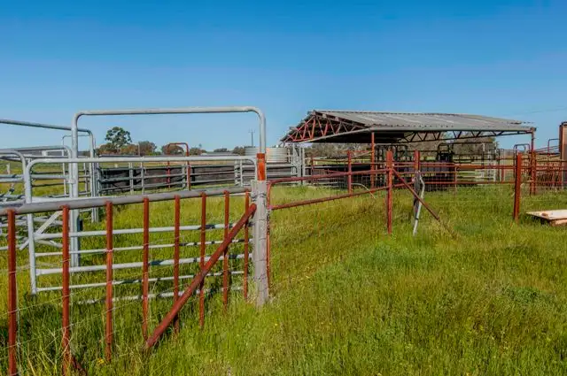 Seventh view of Homely rural property listing, Lot 1634/2010 Nolan Rd, Muchea WA 6501