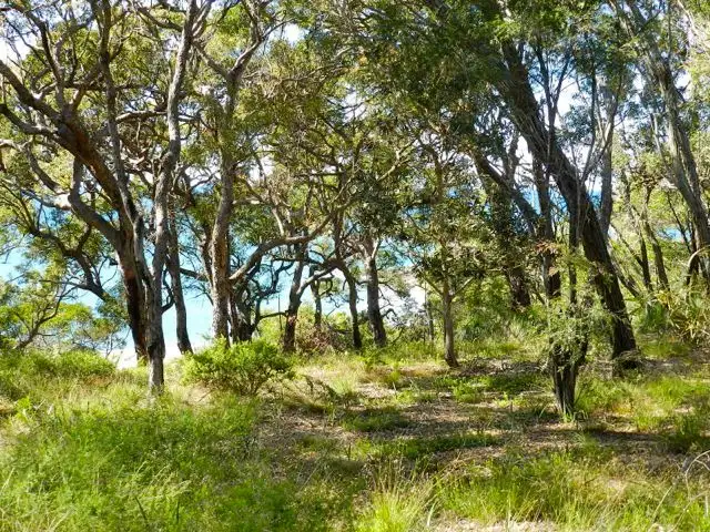 Fifth view of Homely land listing, Lot 7 Springs Rd Sunrise, Agnes Water QLD 4677