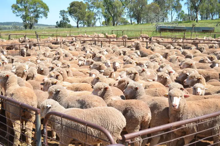 Second view of Homely rural property listing, Address available on request