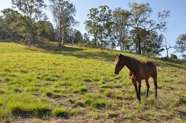 Third view of Homely land listing, 685 Spring Grove Road, SPRING GROVE via, Casino NSW 2470