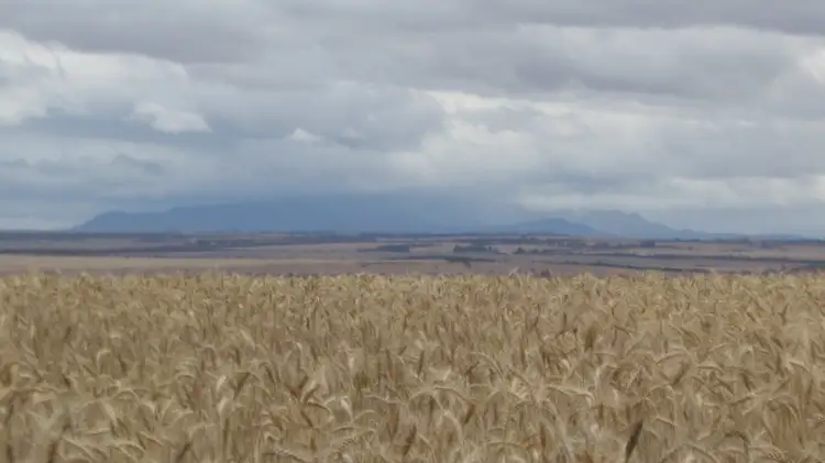 Second view of Homely rural property listing, L1 / L1468 CARNEY ROAD, Needilup WA 6336